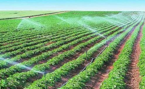 高潮深插交日本免费在线视频农田高 效节水灌溉